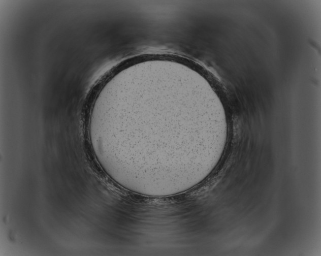 X0000097511311200803201606