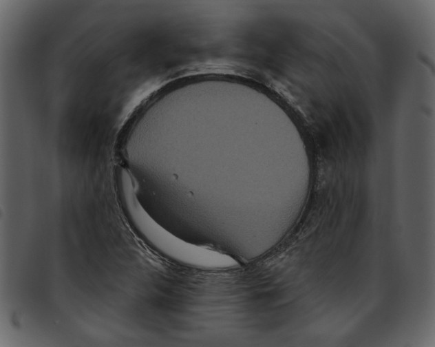 X0000097511312200803201606
