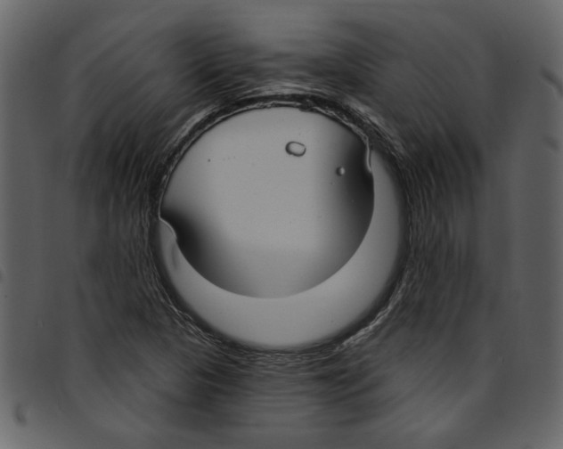X0000097511313200803201606