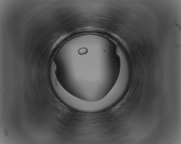 X0000097511314200803201606