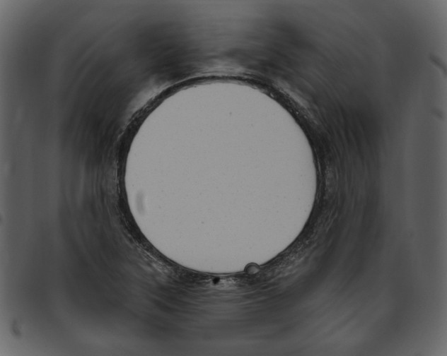 X0000097511315200803201606