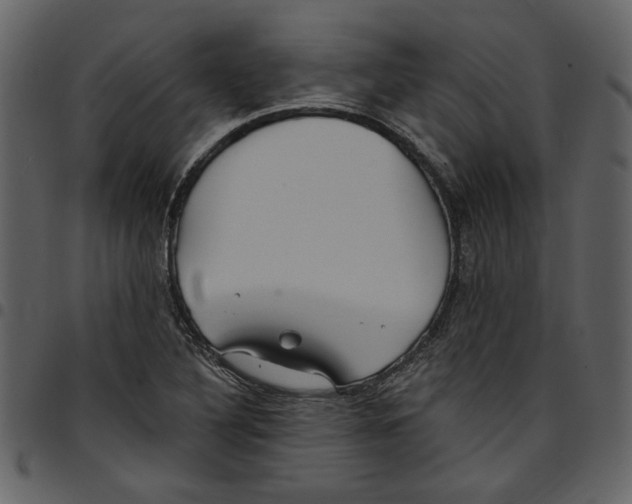 X0000097511316200803201606