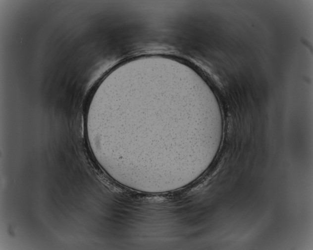 X0000097511317200803201606