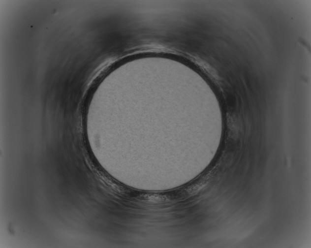 X0000097511318200803201606