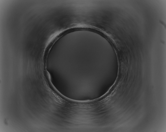 X0000097511319200803201606