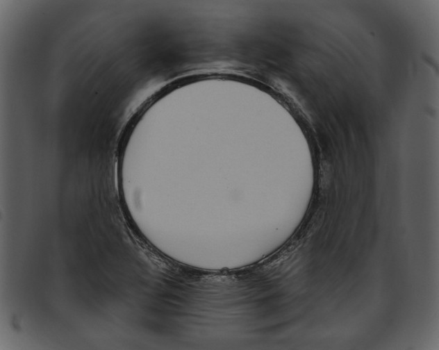 X0000097511320200803201606