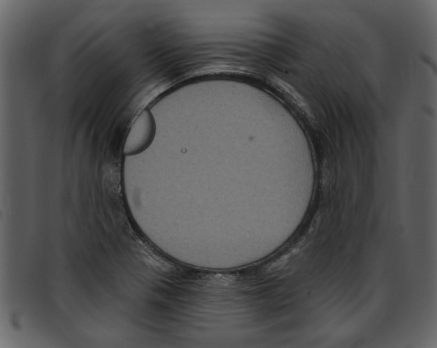 X0000097511321200803201606