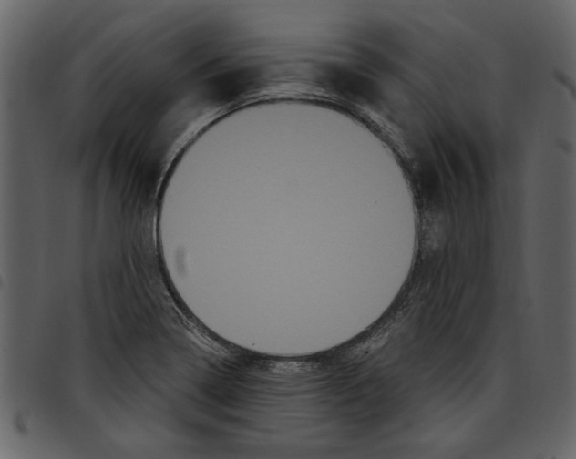 X0000097511322200803201606
