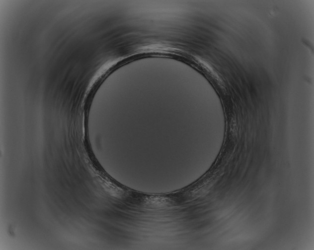 X0000097511323200803201606