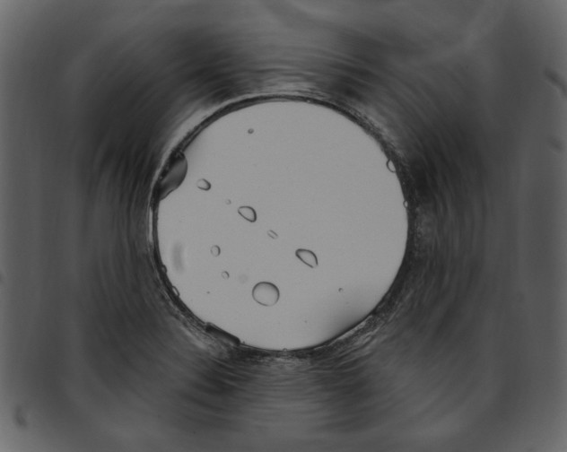 X0000097511324200803201606