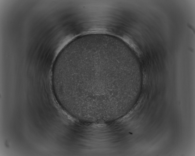 X0000097511325200803201606
