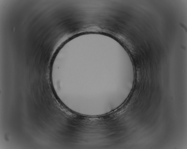 X0000097511326200803201606