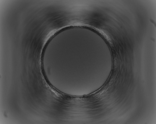 X0000097511327200803201606