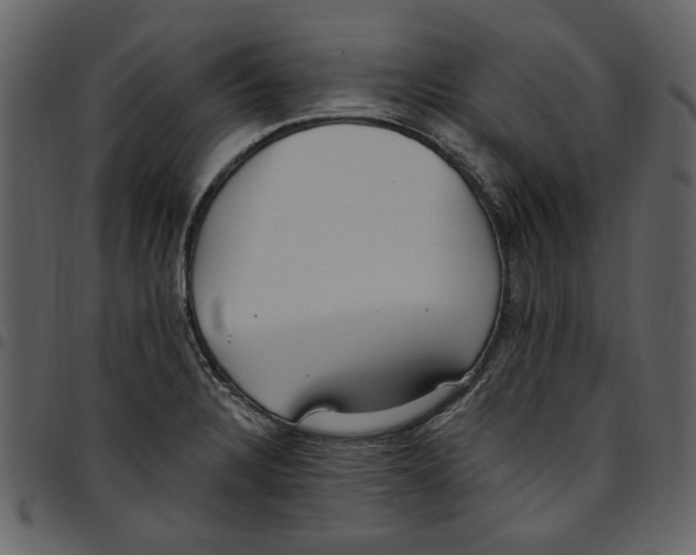 X0000097511328200803201606