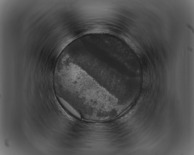 X0000097511329200803201606