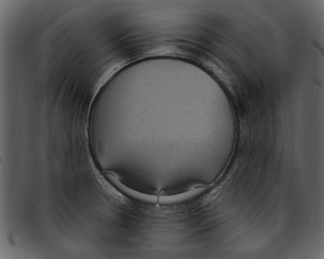 X0000097511330200803201606
