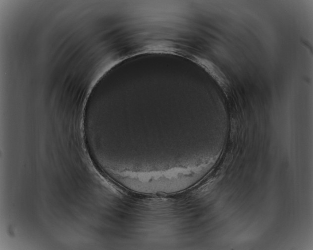 X0000097511331200803201606