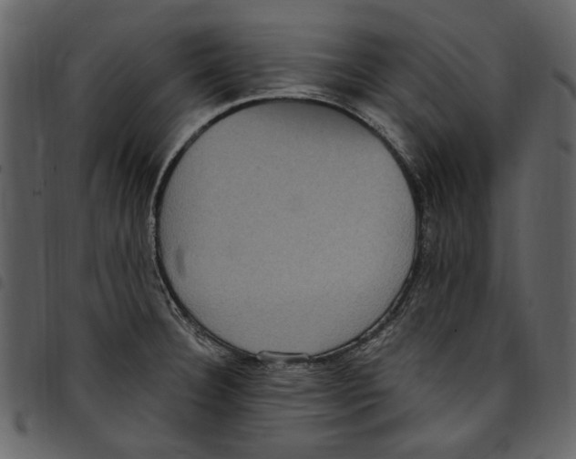 X0000097511332200803201606