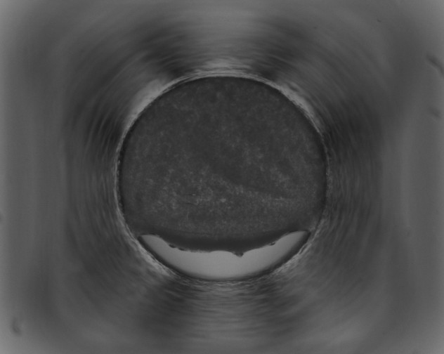 X0000097511333200803201606