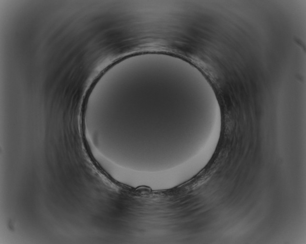 X0000097511334200803201606