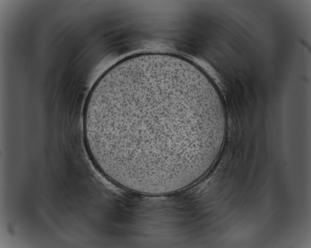X0000097511335200803201606