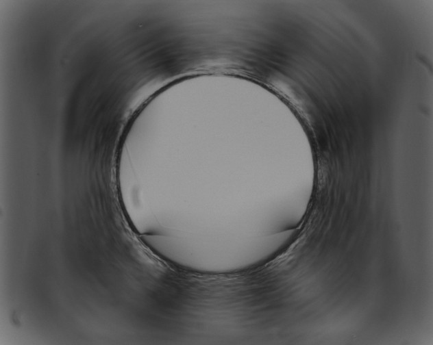 X0000097511336200803201606
