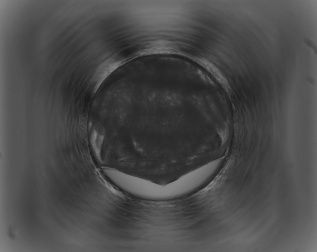 X0000097511337200803201607