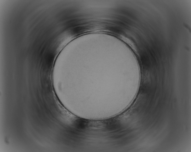 X0000097511338200803201607