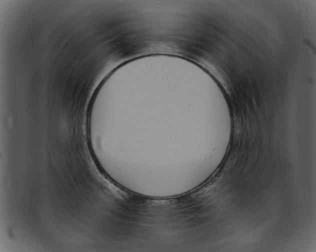 X0000097511339200803201607