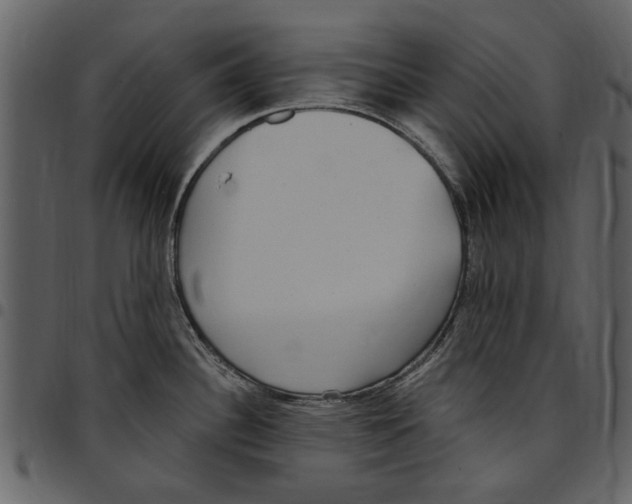 X0000097511340200803201607