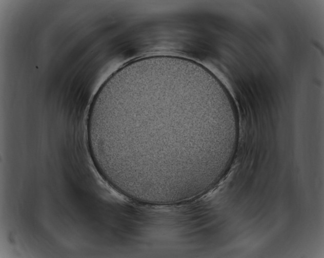 X0000097511341200803201607