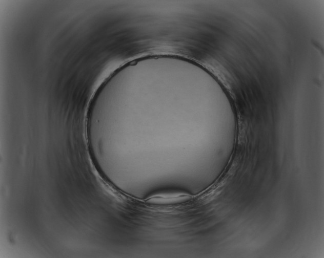 X0000097511342200803201607