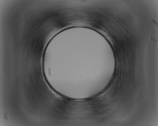 X0000097511343200803201607