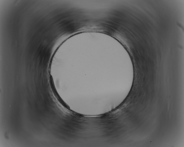 X0000097511344200803201607