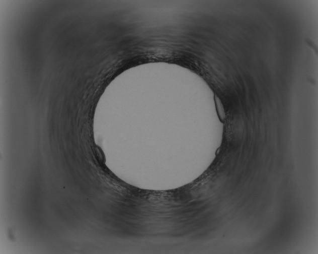 X0000097511345200803201606