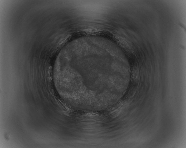 X0000097511346200803201606
