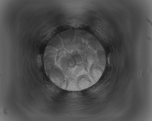 X0000097511347200803201606