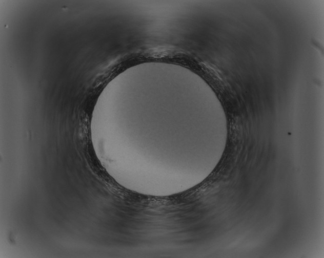 X0000097511349200803201606