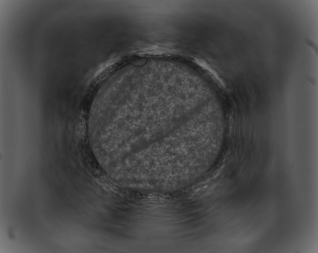 X0000097511350200803201606