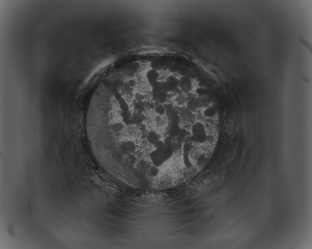 X0000097511351200803201606
