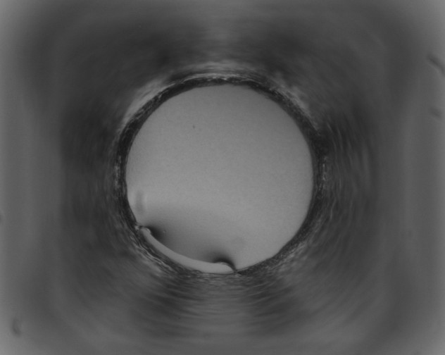 X0000097511352200803201606