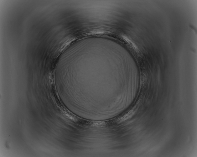 X0000097511353200803201606