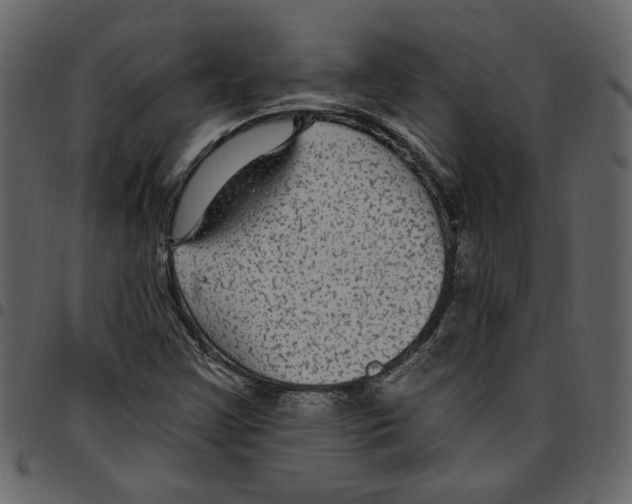 X0000097511355200803201606