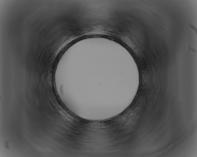 X0000097511356200803201606