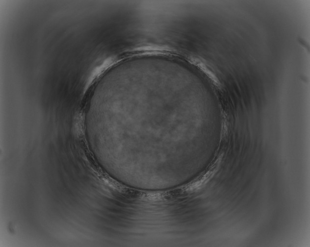 X0000097511357200803201606
