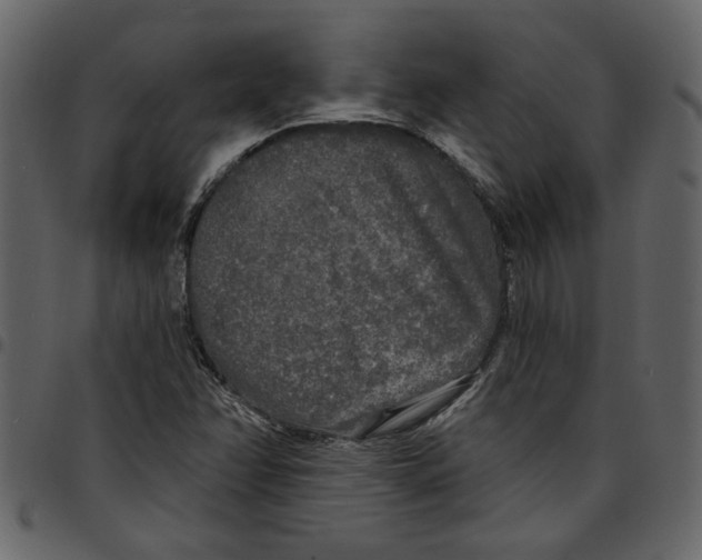 X0000097511358200803201606