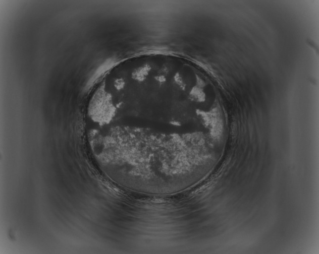 X0000097511359200803201606