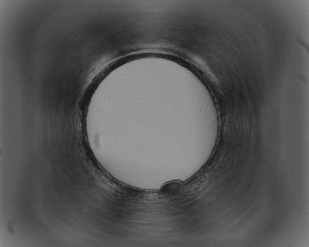 X0000097511360200803201606