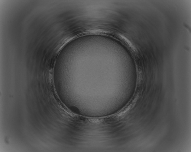 X0000097511361200803201606