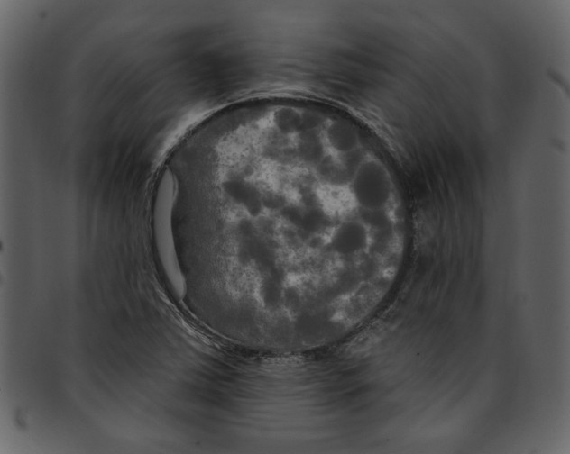 X0000097511363200803201606